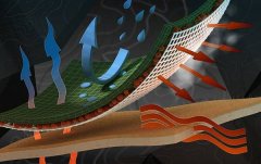 防水涂料系统配套施工服务